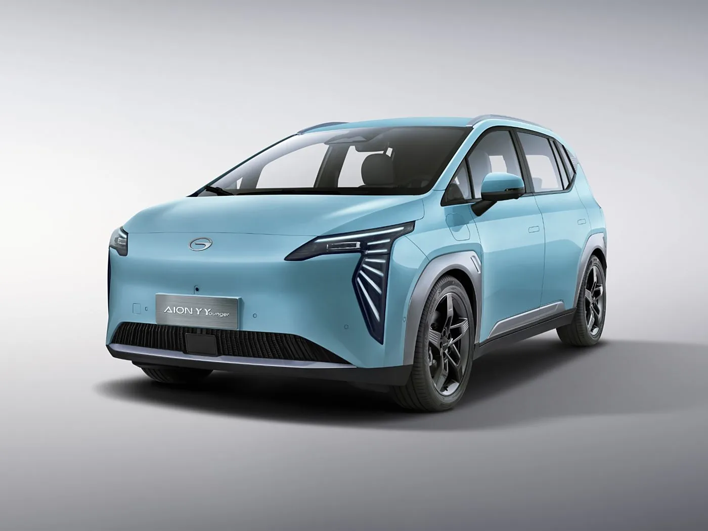 Care & Maintenance of luxury minivans 2026